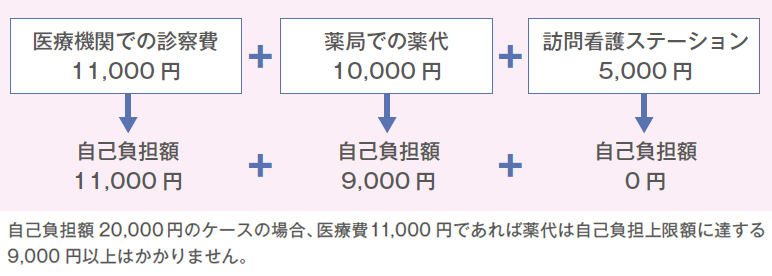 図：自己負担額20,000円のケース